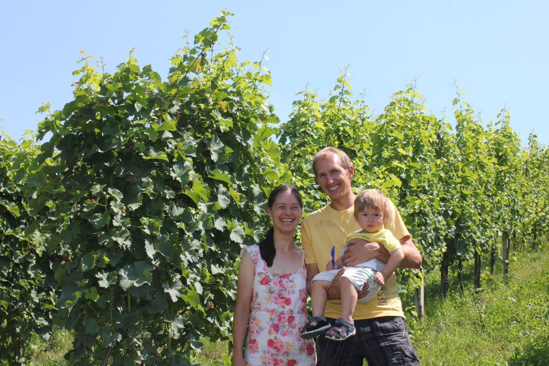 Družina Valentan v vinogradu